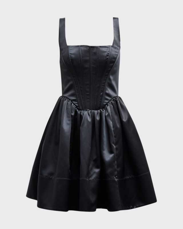 Landscape Fit & Flare Corset Mini Dress
